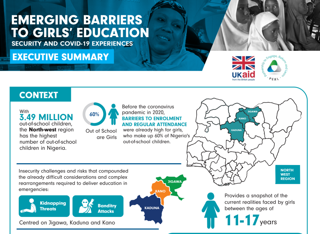 Emerging Barriers Factsheet - Executive Summary